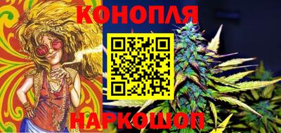 гашик Донецк