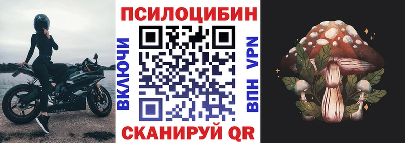 Псилоцибиновые грибы Psilocybine cubensis  Муравленко 