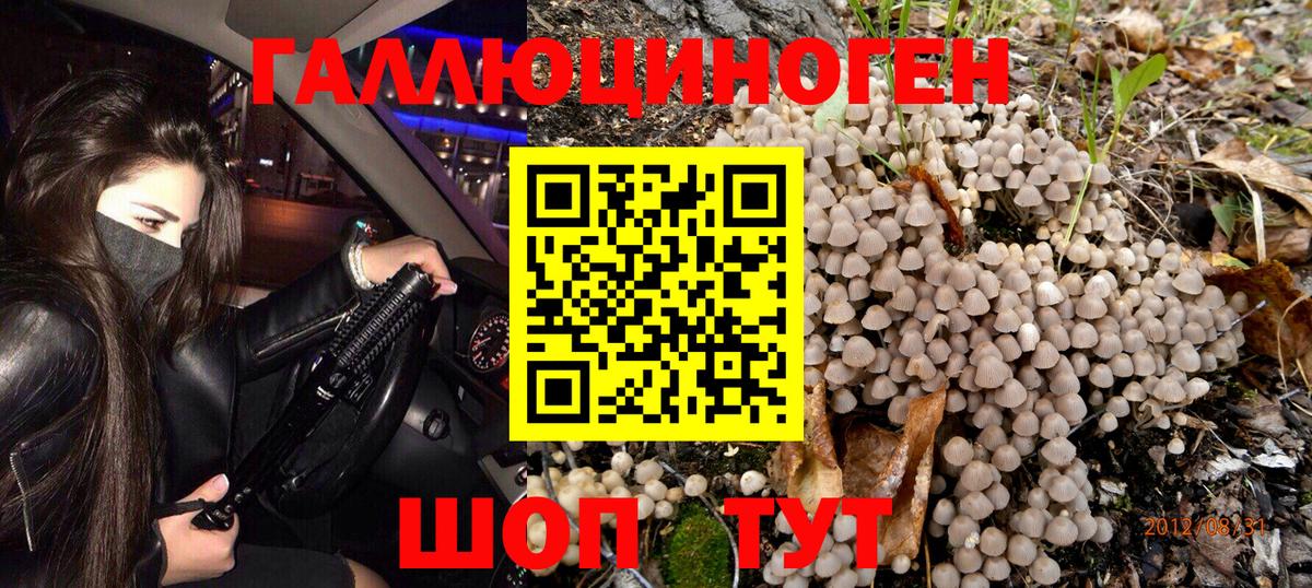 Галлюциногенные грибы MAGIC MUSHROOMS Муравленко