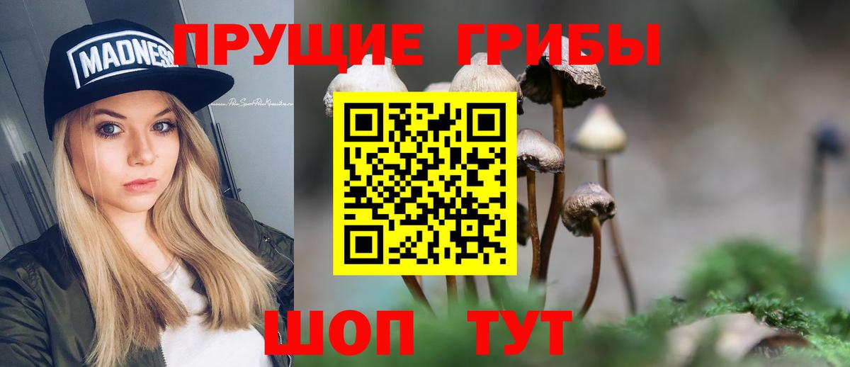 Галлюциногенные грибы Psilocybe Муравленко